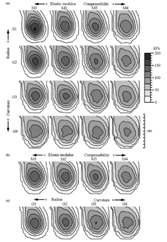 Biomechanical pressure contour maps — FEA analysis showing load distribution across foot geometry